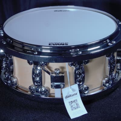 Pearl 14x05” All Maple Sensitone Premium Snare Drum / STA1450MM321 –  DrumPickers