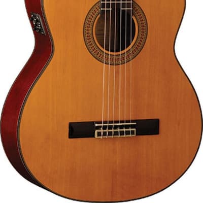 Washburn C64SCE Classical Cutaway Acoustic-Electric Solid Spruce Top, Mahogany Back & Sides B-Stock image 1