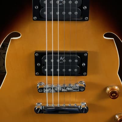 2003 Oscar Schmidt Delta King OE-30/TS Semi-Hollow Body Electric Guitar image 24