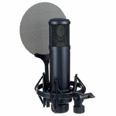 sE Electronics sE2200 | Large Diaphragm Multipattern Condenser Microphone. New with Full Warranty! image 14