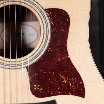 Taylor 210ce Plus Dreadnought with Aerocase - Demo image 11