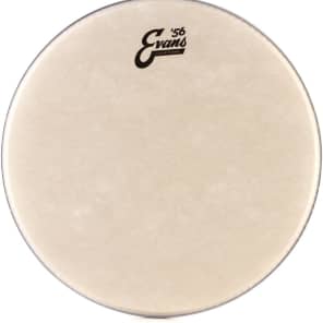 Evans Calftone Drumhead - 14 inch image 5