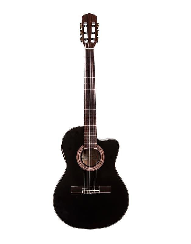 生まれのブランドで Aria A-35CE Electric Acoustic guitar - 楽器・機材