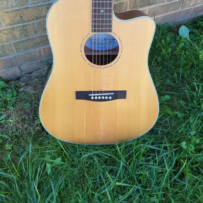 2020 James Neligan Model ASY DCE Acoustic/Electric Guitar Great Player, Looks & Sound Blowout image 2