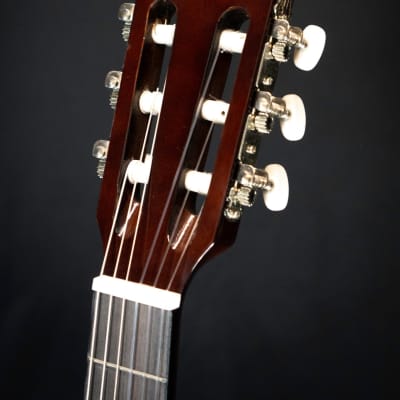 Aria FST-200 Fiesta Full Size Classical Starter Guitar image 4