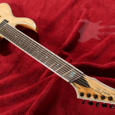 B.C. Rich Shredzilla 8 Prophecy Archtop Fanned Frets - Spalted Maple image 4