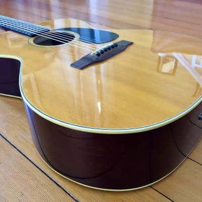 1978 Epiphone FT-120 Acoustic Guitar Made in Japan Vintage Norlin Matsumoku image 5