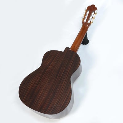 Yukinobu Chai No.10 Alto Guitar- Shipping Included* image 4