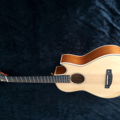 New Terry Pack PLMS acoustic parlour guitar, solid mahogany back / sides, Sitka top, 45mm wide  nut image 4
