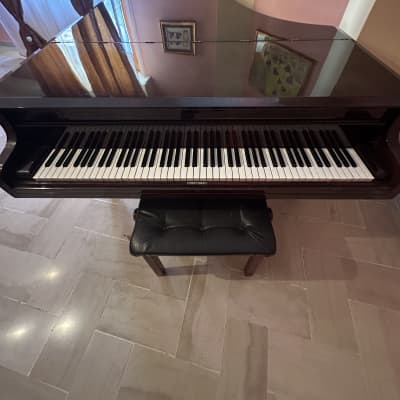 Chickering & Sons 58515 1881 - Marrone satinato image 1