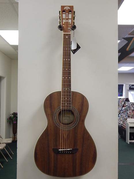Washburn wp55ns on sale