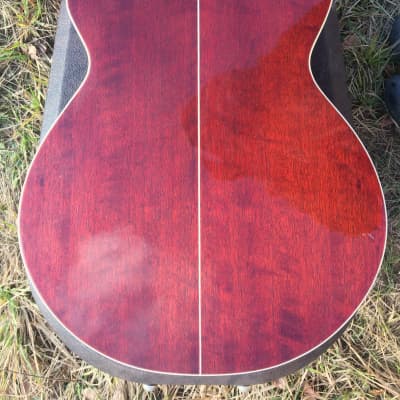 Takamine DSP-110 MD 税込販売価格 ￥52,800- 中古 AD-1