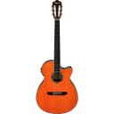 Ibanez AEG10NII Acoustic/Electric Classical Guitar (Tangerine)