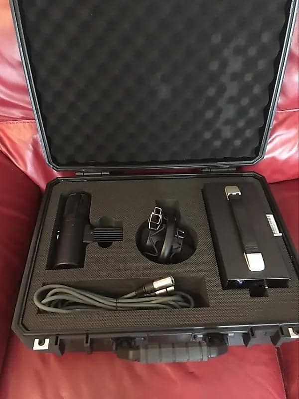 Warm Audio WA8000 large high quality valve mic | Reverb