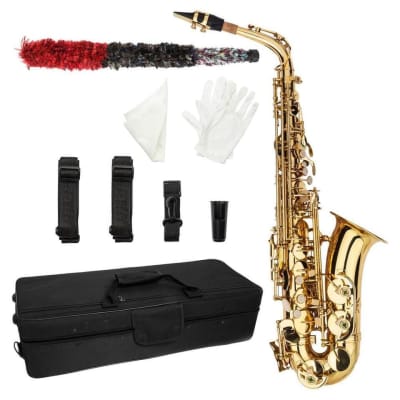 Sax Beginners Kit 8-Hole Pocket Sax Mini Portable Saxophone Little  Saxophone with Carrying Bag Woodwind Instrument Musical Accessories Wind  Instrument