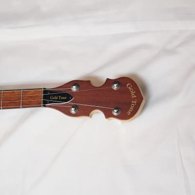 GOLD TONE EB-5 electric 5-string banjo NEW w/ gig bag image 5
