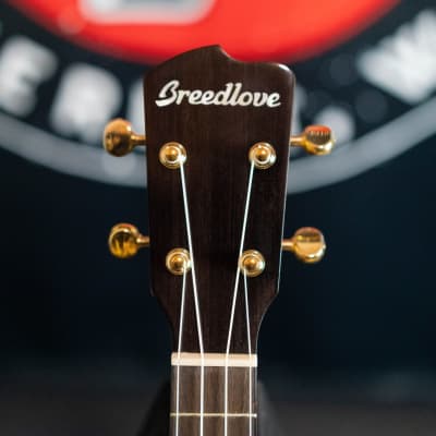 Breedlove Lu'au Concert CE Acoustic-electric Ukulele - Olive Burst Myrtlewood - Discontinued Model image 4