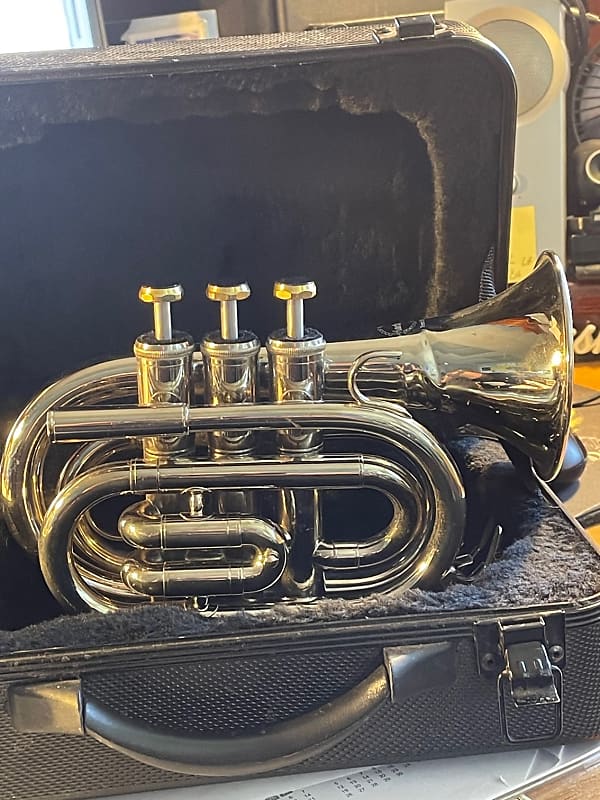 サックス　maxtone マックストーンby French Engineer Soprano Saxophone Maxtone By French Engineer, Sax ready to