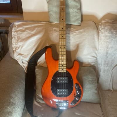 Music Man USA Stingray 5 HH TG - Translucent Gold - Rosewood Neck