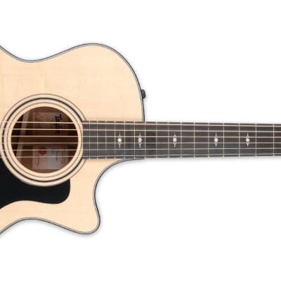 Taylor 314ce with V-Class Bracing | Reverb Canada