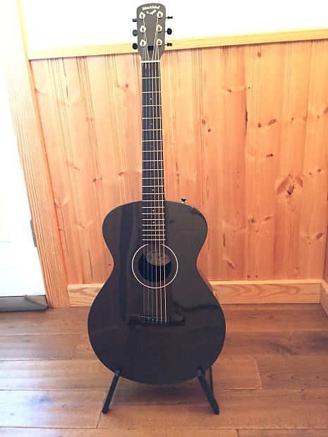 Blackbird carbon fiber guitar hotsell