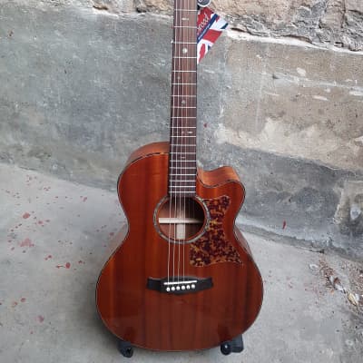 Tanglewood  tw47 r e for sale