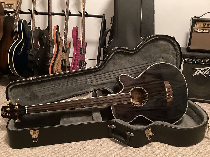 Rogue HB304F/TBK 4 String Electric Acoustic Fretless Black Reverb