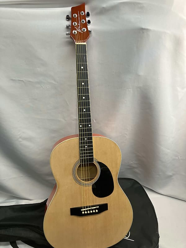 Thinline Cutaway Acoustic Electric Guitar with Gig Bag - Right