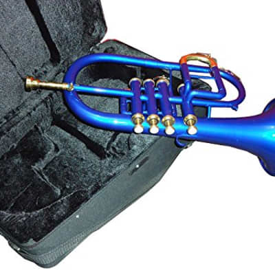 Sai musicals India Bb low pitch brass musical instrument FLUGEL Horn 4v blue brass made image 4