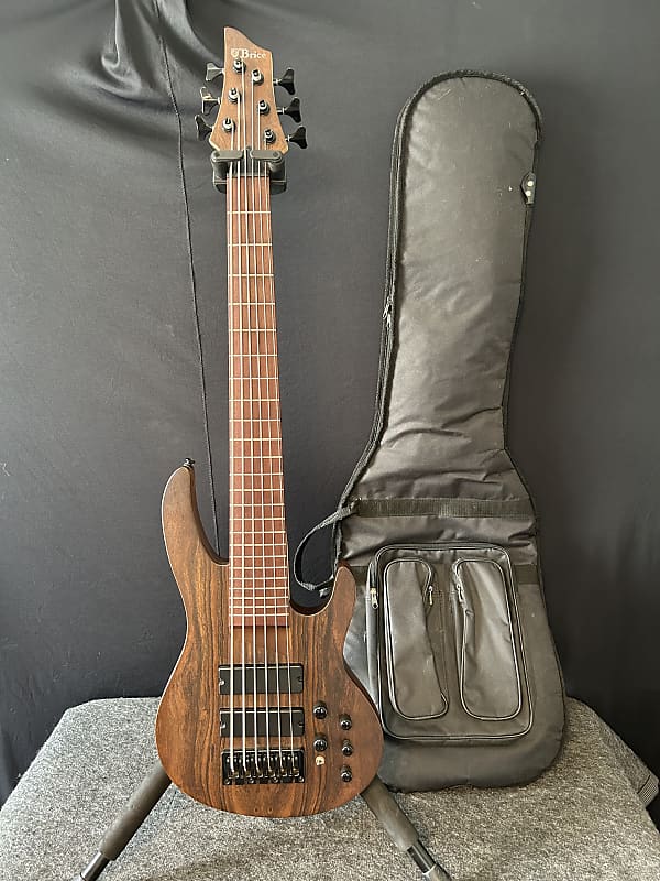 Brice By Agile Guitars 6String Electric Bass Guitar w/ Gig Reverb