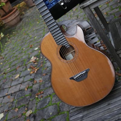 Scharpach Baritone 7 string 2012 for sale