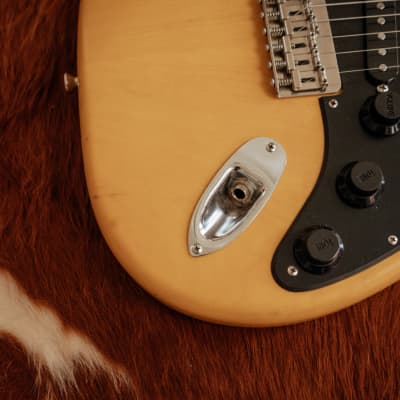 Warmoth/Allparts Blonde S Style Guitar with Flamed Maple Neck image 12