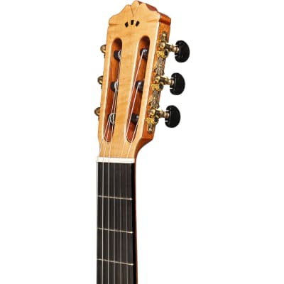Cordoba GK Pro, Nylon String Acoustic-Electric Guitar - Spruce image 4
