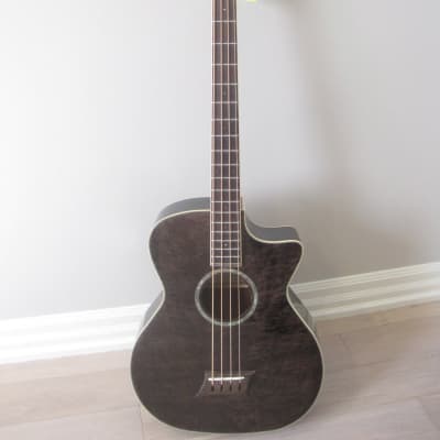 Michael Kelly MKVAB4BKF Acoustic/Electric 4-string Bass Guitar with Hard Case for sale