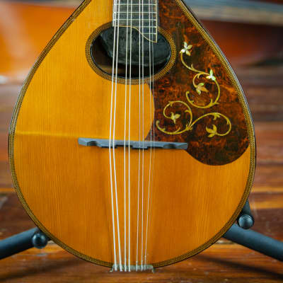 Harmony Perfacktone Mandolin 1920s Natural image 1