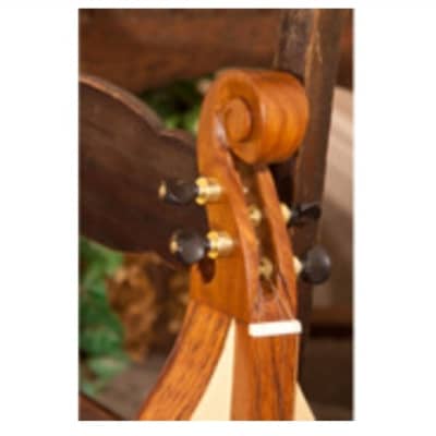 Roosebeck DMDS4 | 34" 4-String Emma Mountain Dulcimer. New with Full Warranty! image 7