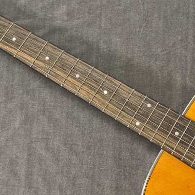 新品本物 HEADWAY HF-25 アコースティックギター - cix.cl