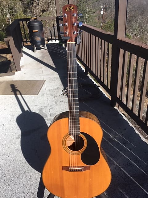 Gurian guitar store for sale