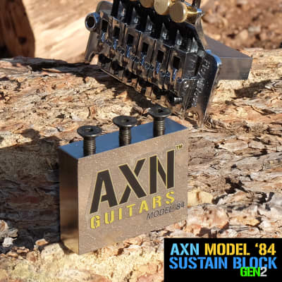 AXN™ MODEL-'84 NICKEL PLATED BIG BLOCK Floyd Rose Sustain Block image 2