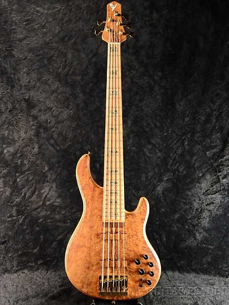 STR GUITARS LS549 Top | Reverb