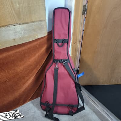 Windsor Deluxe Acoustic Guitar Bag Used image 2