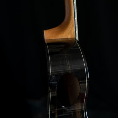 Skytop "Dark Side of the Moon" Acoustic Guitar image 9