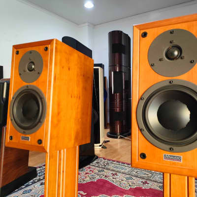 Dynaudio CONTOUR 1.3 image 7
