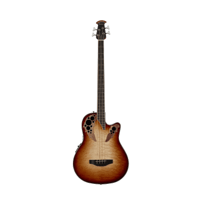 わここ Squier musicmaster bass Squier Vista Musicmaster Bass | Reverb