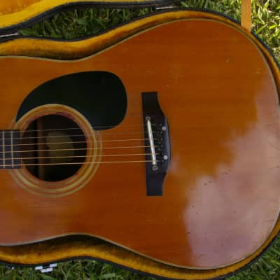 Trump Dreadnought with Vintage Case image 5