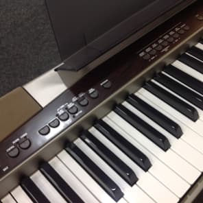 CASIO PX100 PORTABLE DIGITAL PIANO, Inc: Stand, Pedal