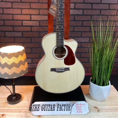Seagull Performer CW Mini Jumbo HG Presys II with Bag Acoustic Electric Guitar image 2