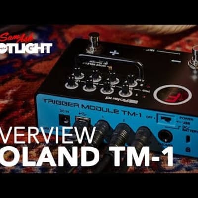 Roland TM-1 Drum Trigger Module image 10