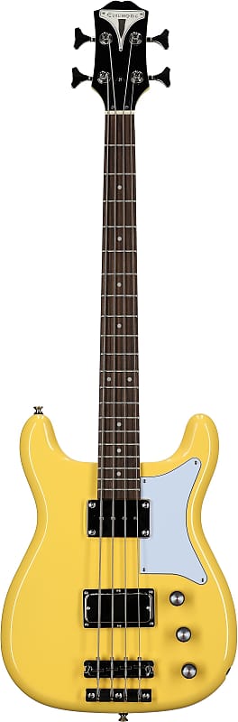ポップでコンパクトでもマッシブ？Epiphone Newport Bass - 北部