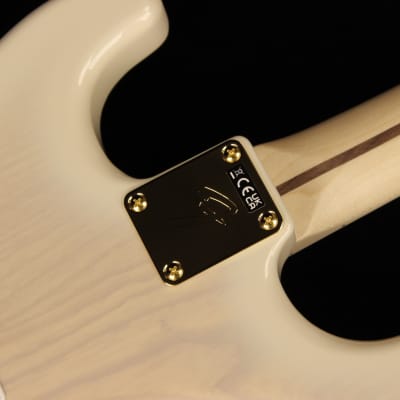 Fender Richie Kotzen Stratocaster - TWS (#020) image 10